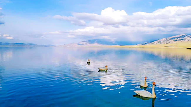 /xinjiang/106.html